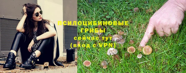 мяу мяу мука Валуйки