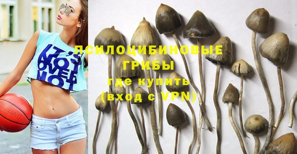таблы Алзамай